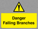 danger-falling-branches~